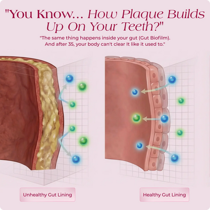 EverPeak Gut Biofilm Ritual
