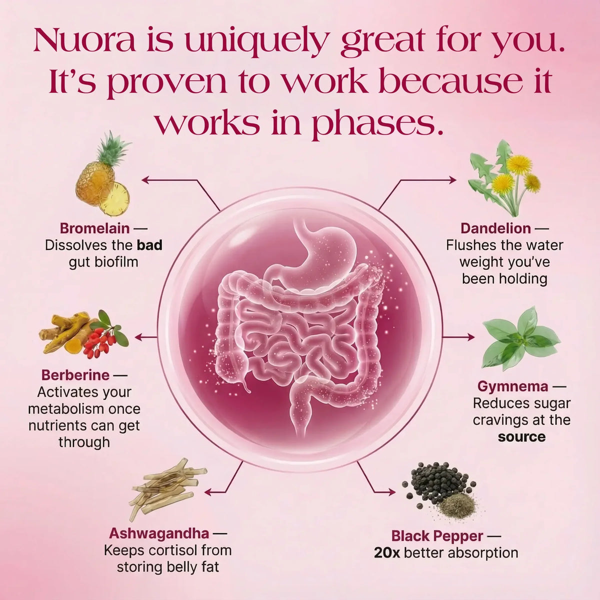EverPeak Gut Biofilm Ritual